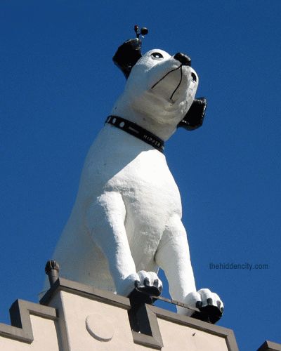 Nipper. Albany, New York.