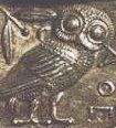 owl image